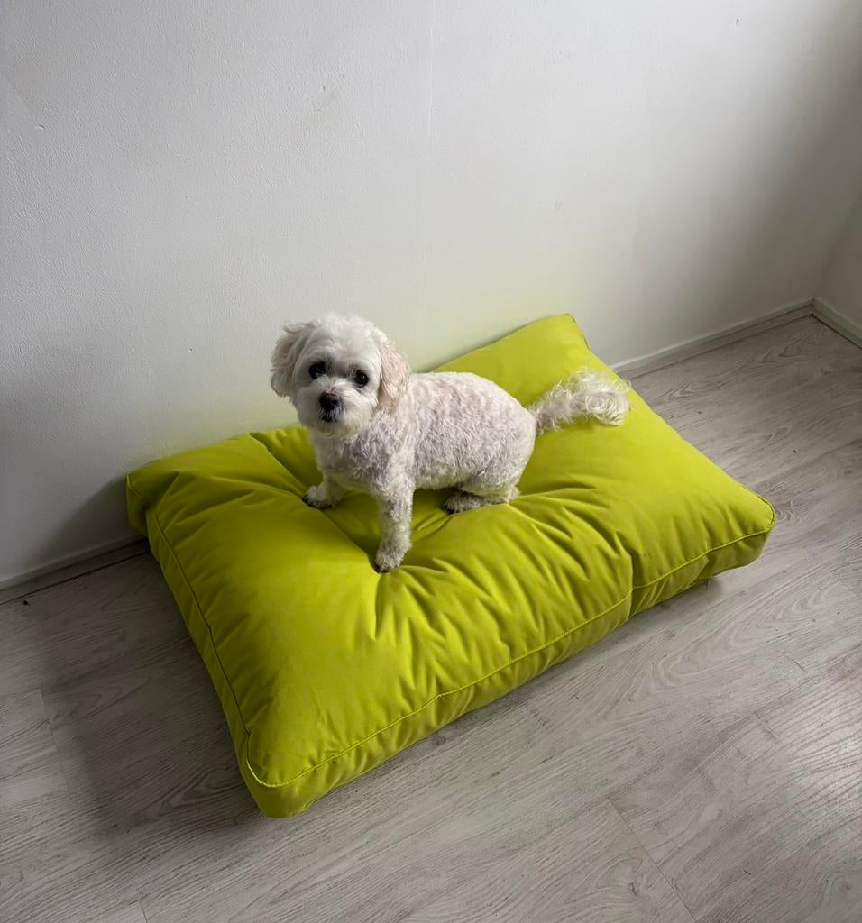 Madison hondenkussen waterproof 70x100 NIEUW, Dieren en Toebehoren, Ophalen, Nieuw