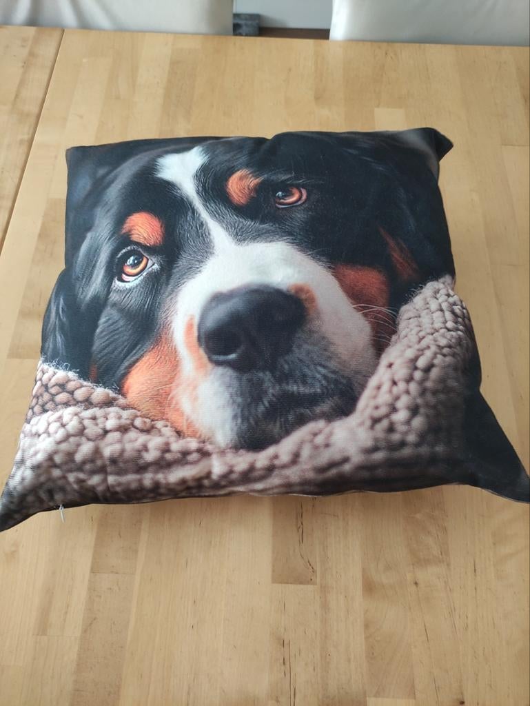 Leuke wasbare kussenhoes, Berner Sennen, Ophalen of Verzenden, Zo goed als nieuw, Zwart, Vierkant