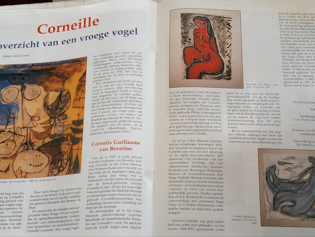 Pierre Alechinsky Cobra Corneille Jorg Reme, Ophalen of Verzenden, Gelezen, Overige typen