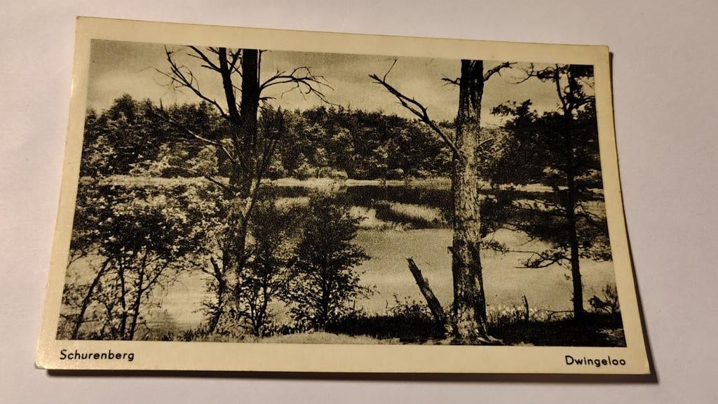 Dwingeloo Schurenberg, Ophalen of Verzenden