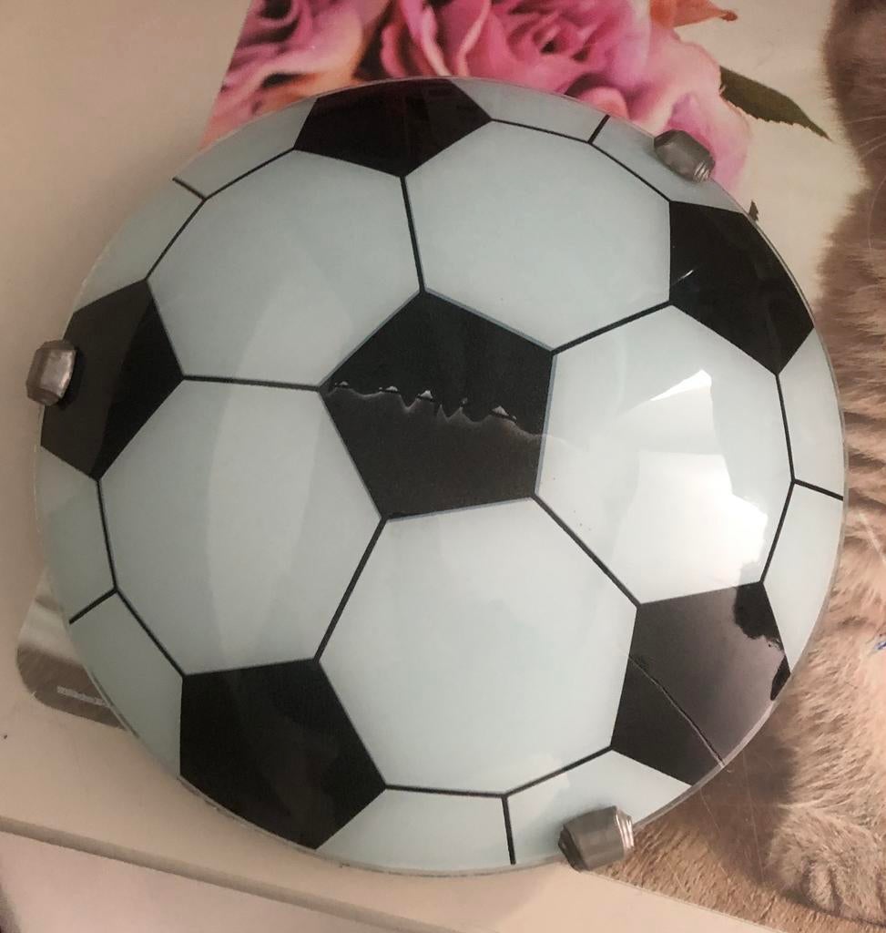 Plafondlamp, Ophalen, Zo goed als nieuw