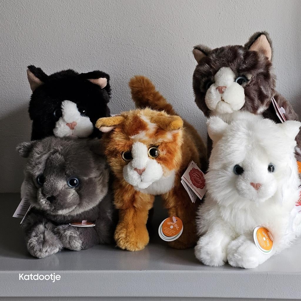 GEZOCHT!!! Gratis poezen knuffels, Ophalen, Zo goed als nieuw, Stoffen beer, Overige merken