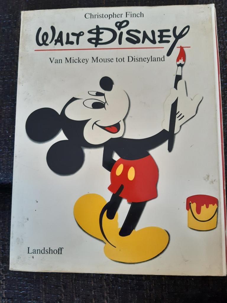 Walt Disney, Eén stripboek, Ophalen of Verzenden, Zo goed als nieuw