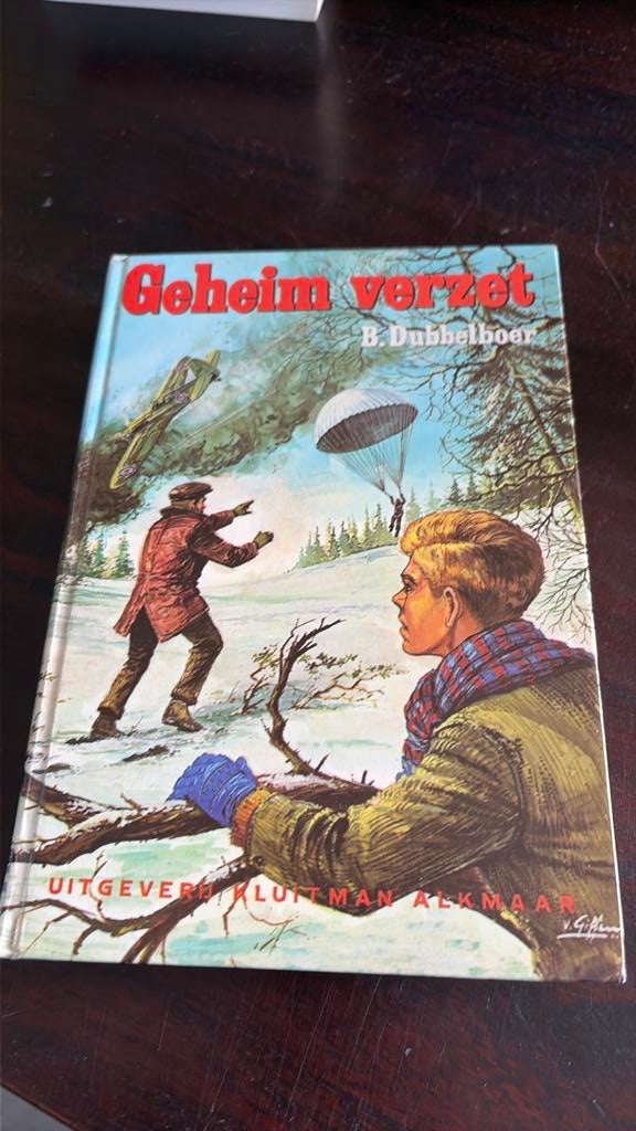 Geheim verzet - B. Dubbelboer, Ophalen of Verzenden, Gelezen, Non-fictie