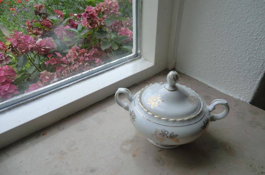 suikerpot / suikerpotje met deksel - TK Thun Czechoslovakia, Ophalen of Verzenden