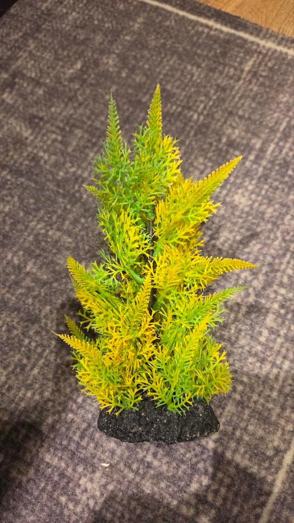 Aquarium plant kunststof, Dieren en Toebehoren, Ophalen, Zo goed als nieuw, Plant(en), Steen of Hout