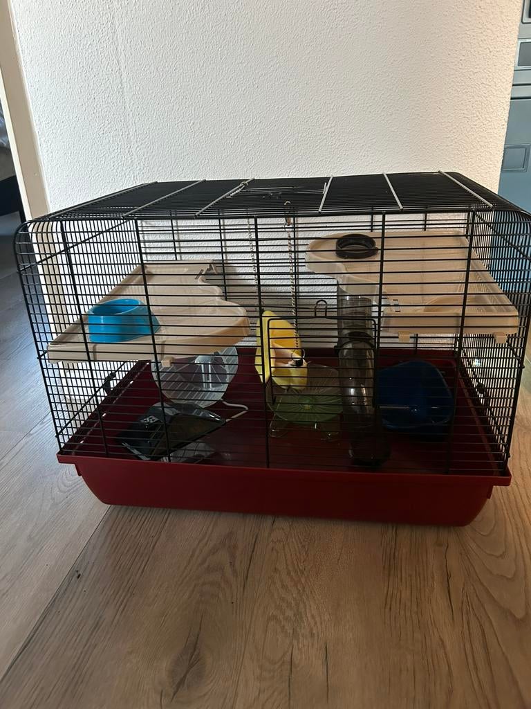 Hamsterkooi, Dieren en Toebehoren, Minder dan 60 cm, Kooi, Minder dan 75 cm, Ophalen of Verzenden