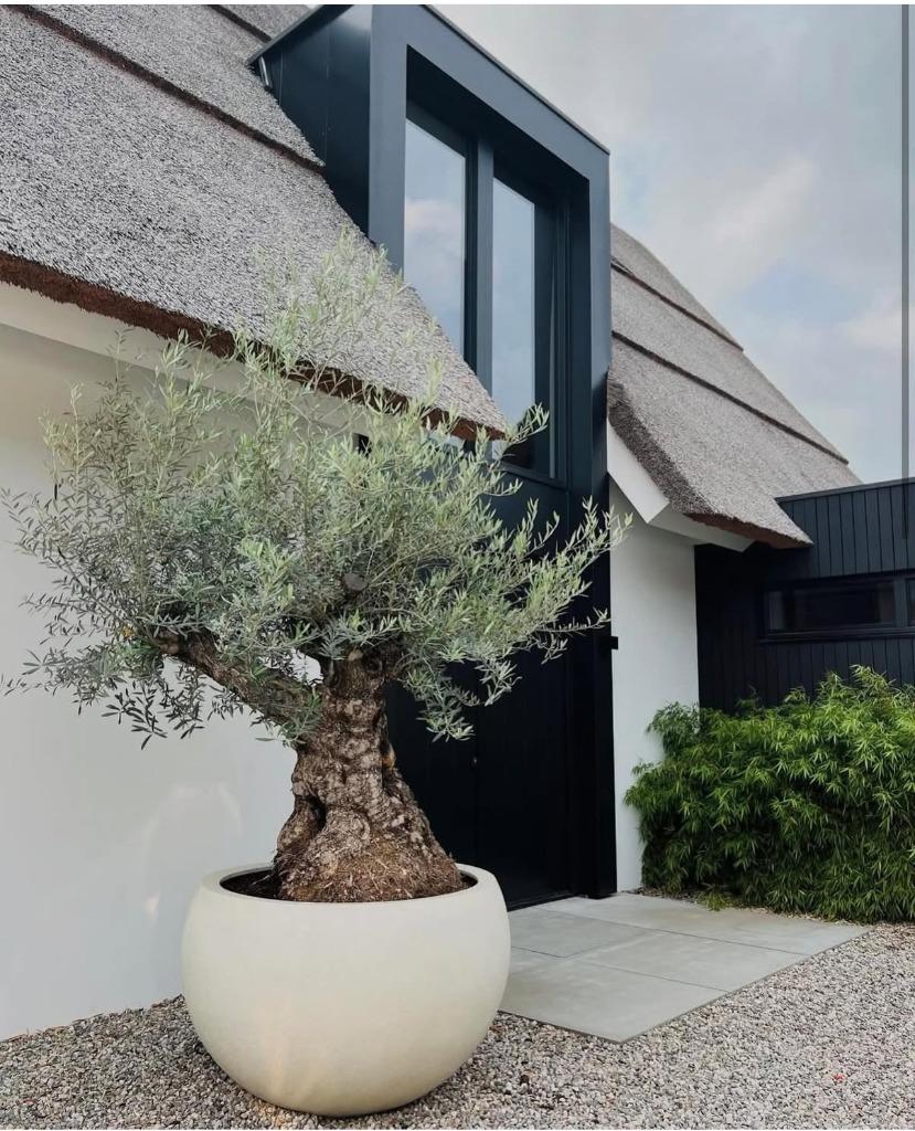 Luca lifestyle trendy bloembakken / plantenbakken te koop!, Kunststof, 100 cm of meer, Rond, Nieuw