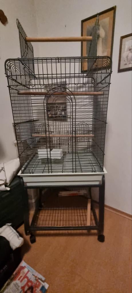 Papegaaienkooi, Dieren en Toebehoren, Ophalen, Gebruikt, Metaal, Vogelkooi