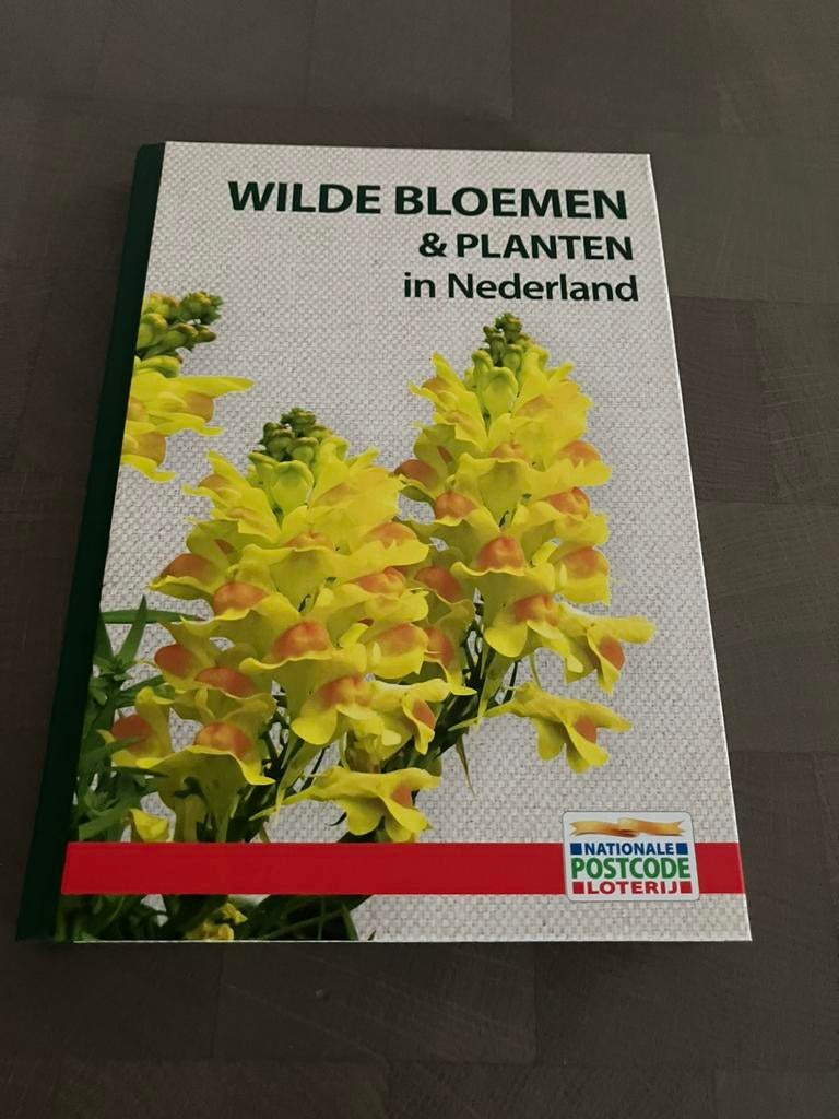 Wilde bloemen & planten in Nederland, Ophalen of Verzenden, Nieuw, Overige soorten