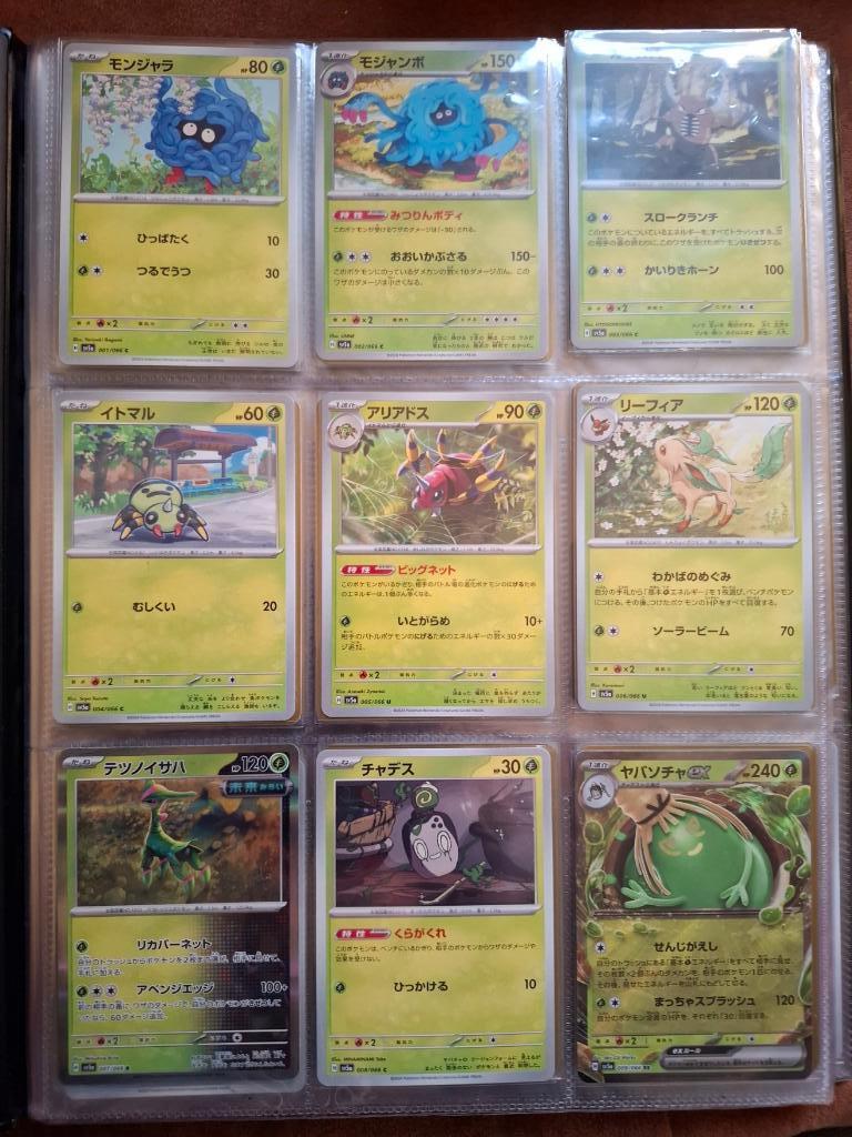 Pokemon Crimson Hase Masterset Japanese Incompleet, Ophalen of Verzenden, Zo goed als nieuw, Meerdere kaarten, Foil