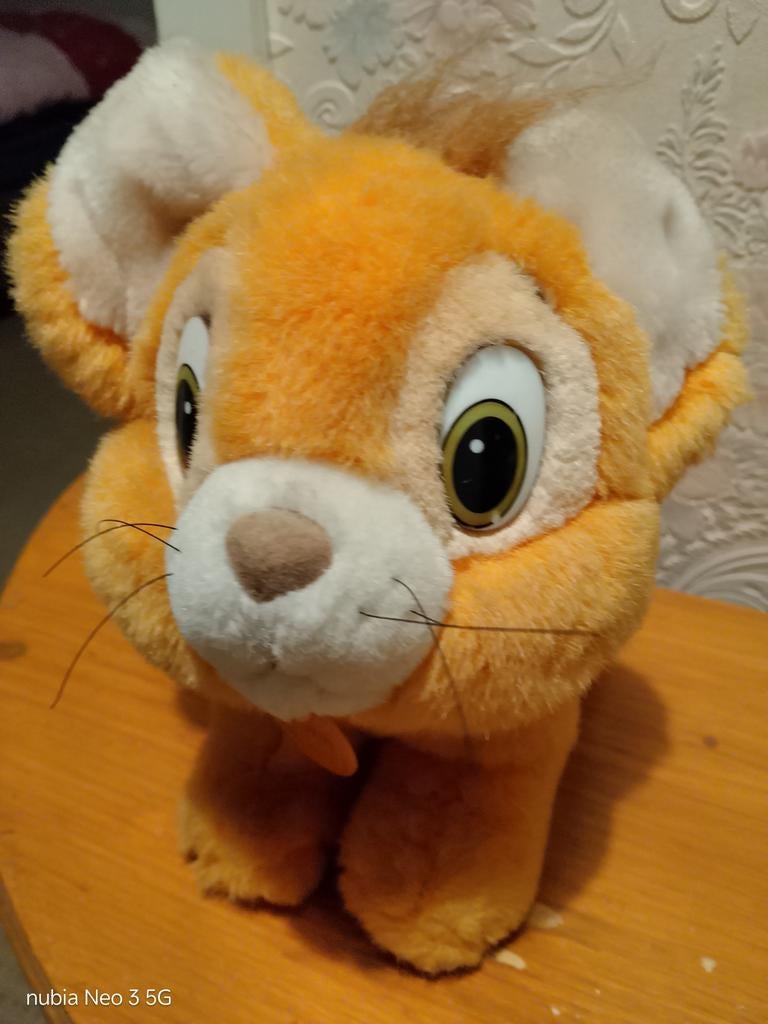 Olivier & co. Orginele uit Disney World Florida, Ophalen, Zo goed als nieuw