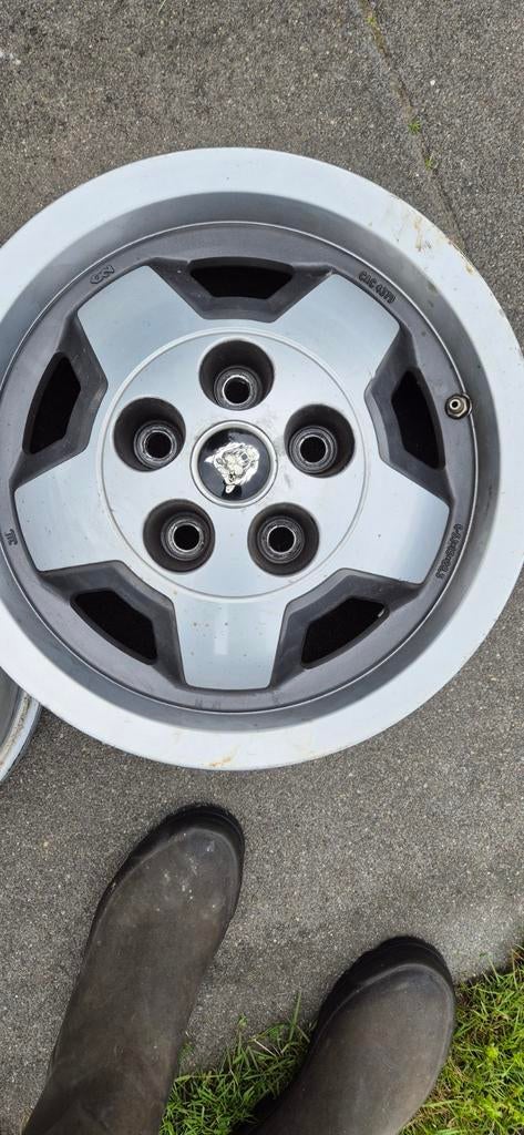 Jaguar XJ/XJS Starfish Velgen, Ophalen, Gebruikt, Velg(en), Personenwagen