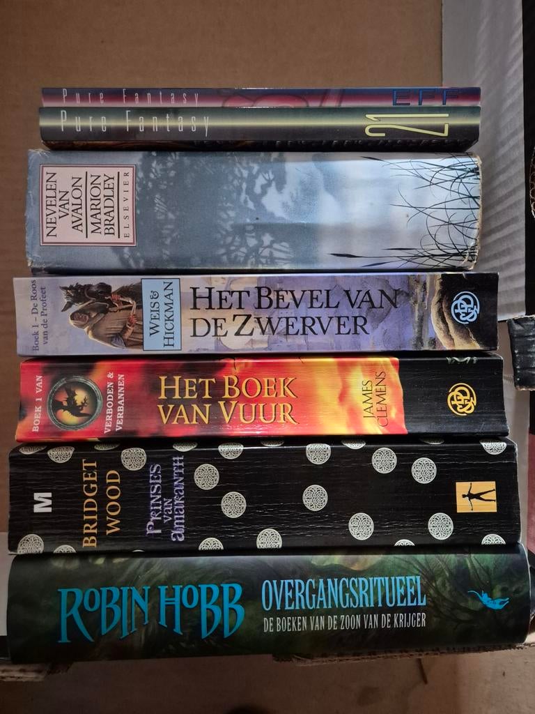 Fantasy – zwaarden, magie en dikke boeken, Ophalen of Verzenden, Gelezen