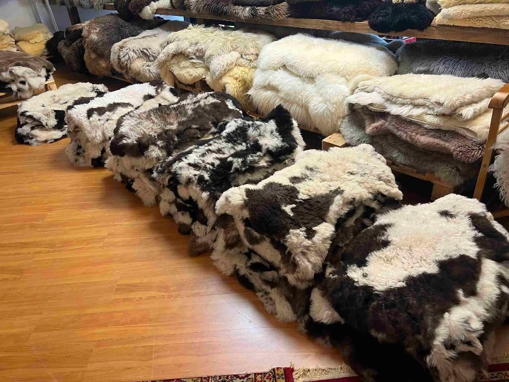 Zachte bonte schapenvacht van bergschaap, Gebruikt, 50 tot 100 cm, Etten-Leur, DJT@dejuistetoon.eu