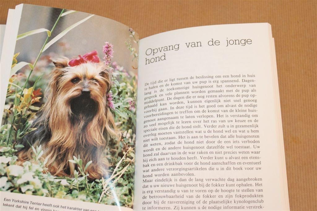 Yorkshire Terrier — Ras & Tips [1985], Boeken, Ophalen of Verzenden, Zo goed als nieuw, Honden