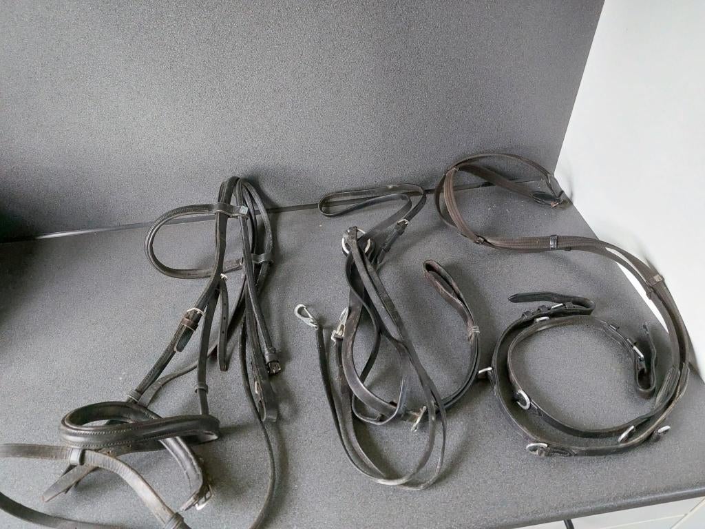 Kieffer hoofdstel met teugel en Thiedeman hulpteugel, Ophalen of Verzenden, Zo goed als nieuw, Dressuur