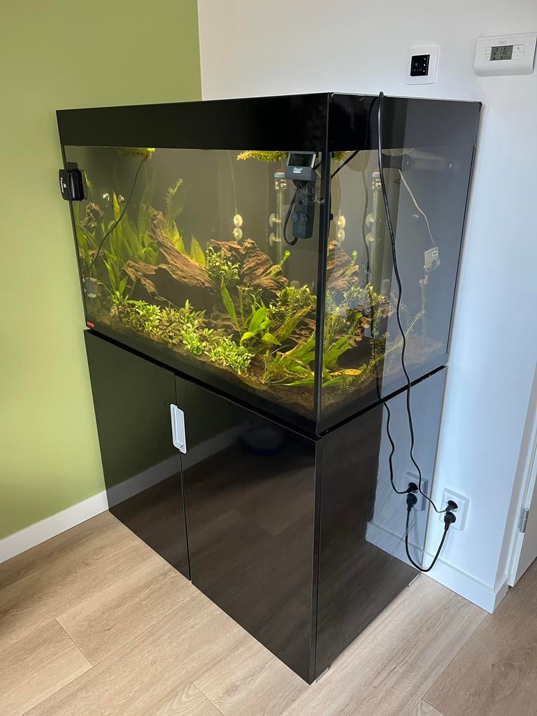 Te koop: Eheim aquarium met kast, vissen en toebehoren., Ophalen, Gebruikt, Gevuld zoetwateraquarium