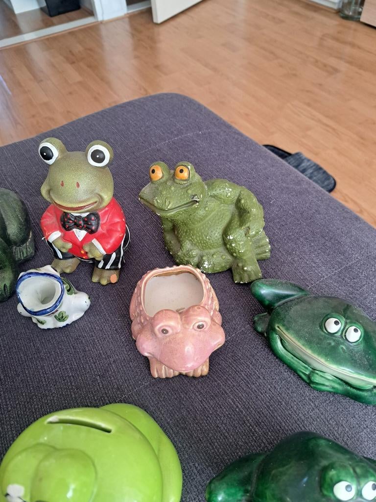 Kikkers te koop, Ophalen of Verzenden