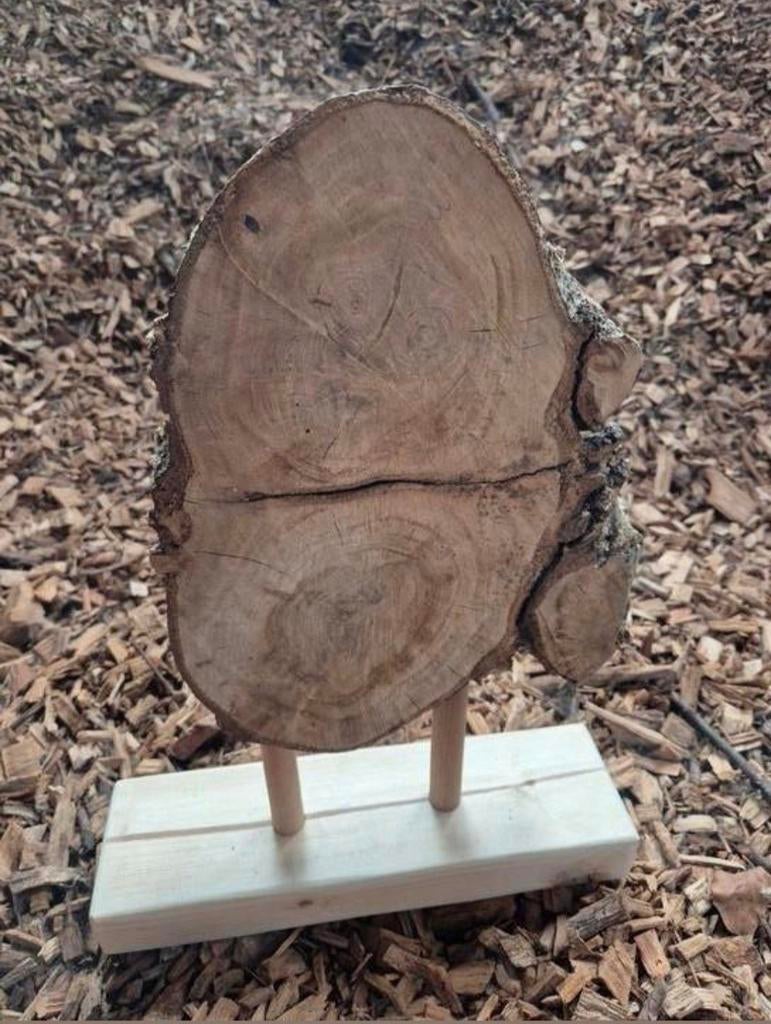 Boomschijf, Ophalen of Verzenden, Nieuw