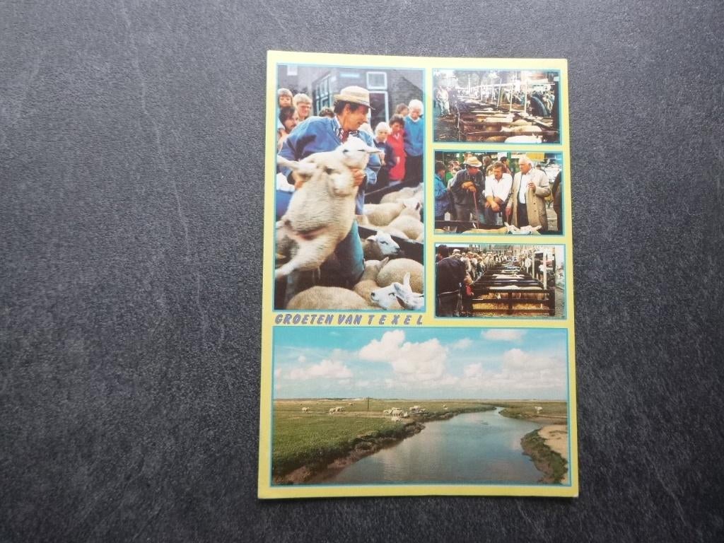 Texel, schapenmarkt/panorama 1985, Verzenden, 1980 tot heden, Gelopen, Waddeneilanden