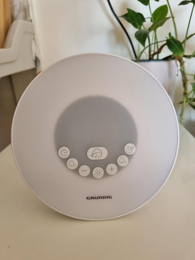 Grundig Wake Up Light Wekker met Radio & Vogelgeluiden, Ophalen of Verzenden, Zo goed als nieuw, Digitaal