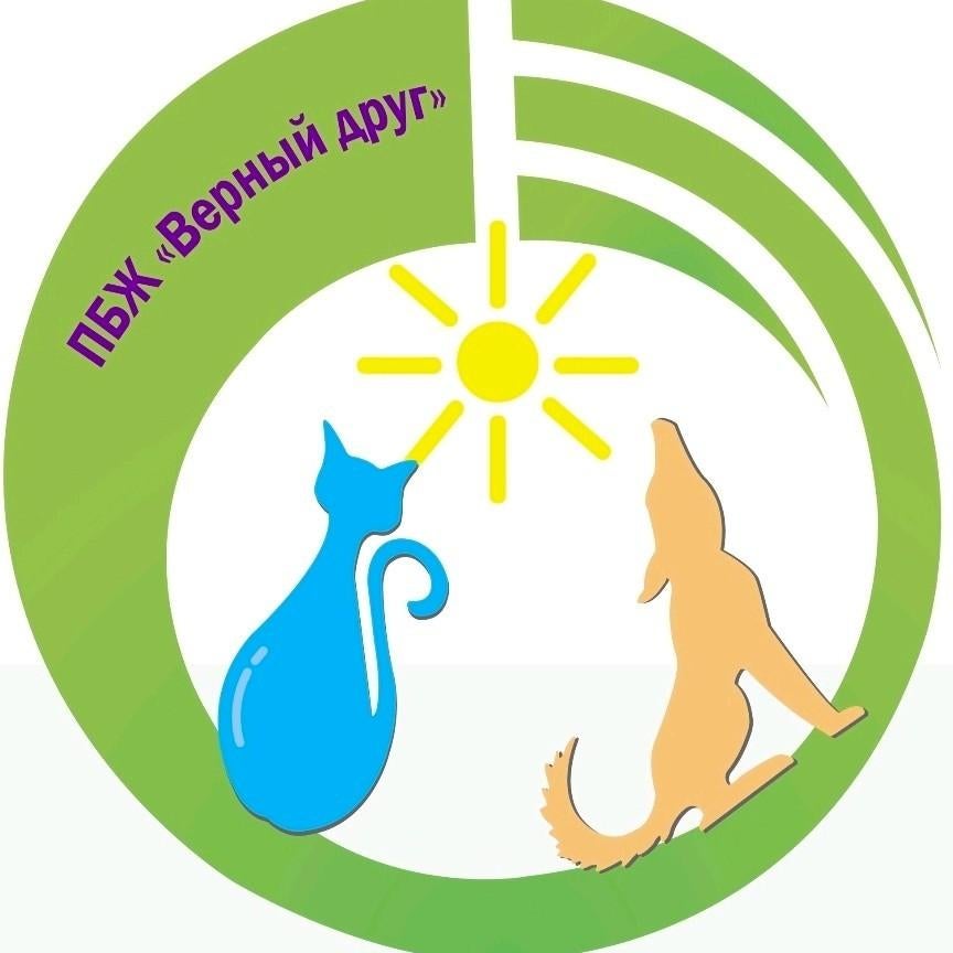 Dierenasiel zoekt helpende handen, spenden, Particuliere oppas