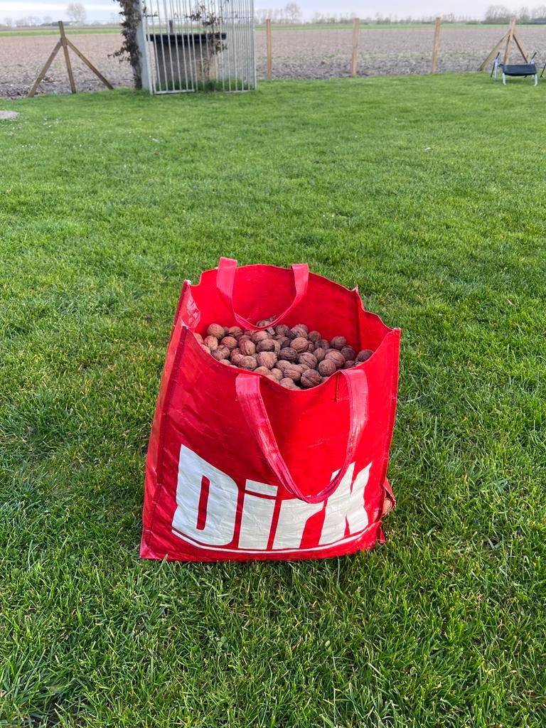 Walnoten oogst 2025, Diversen, Ophalen