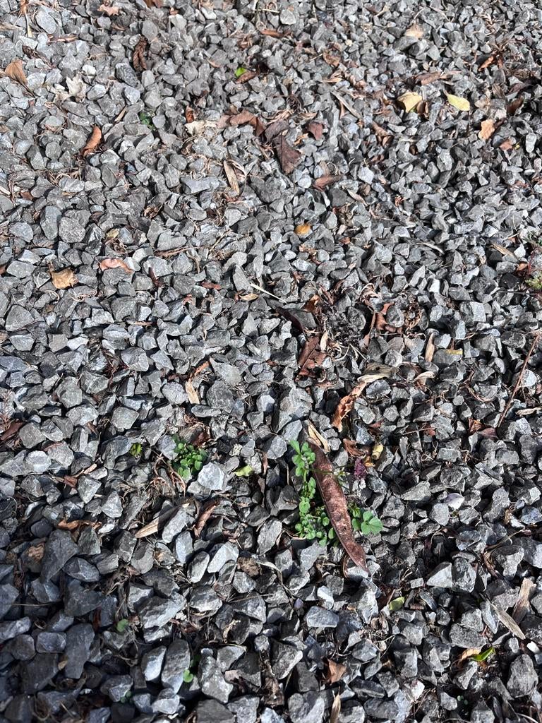 Gratis Grind - Kiezelstenen grijs, Ophalen