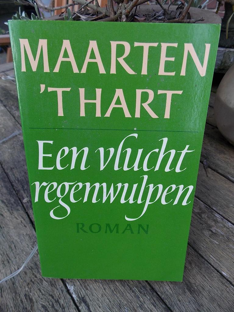 Maarten 't Hart - Een vlucht regenwulpen - boek, Ophalen of Verzenden, Gelezen