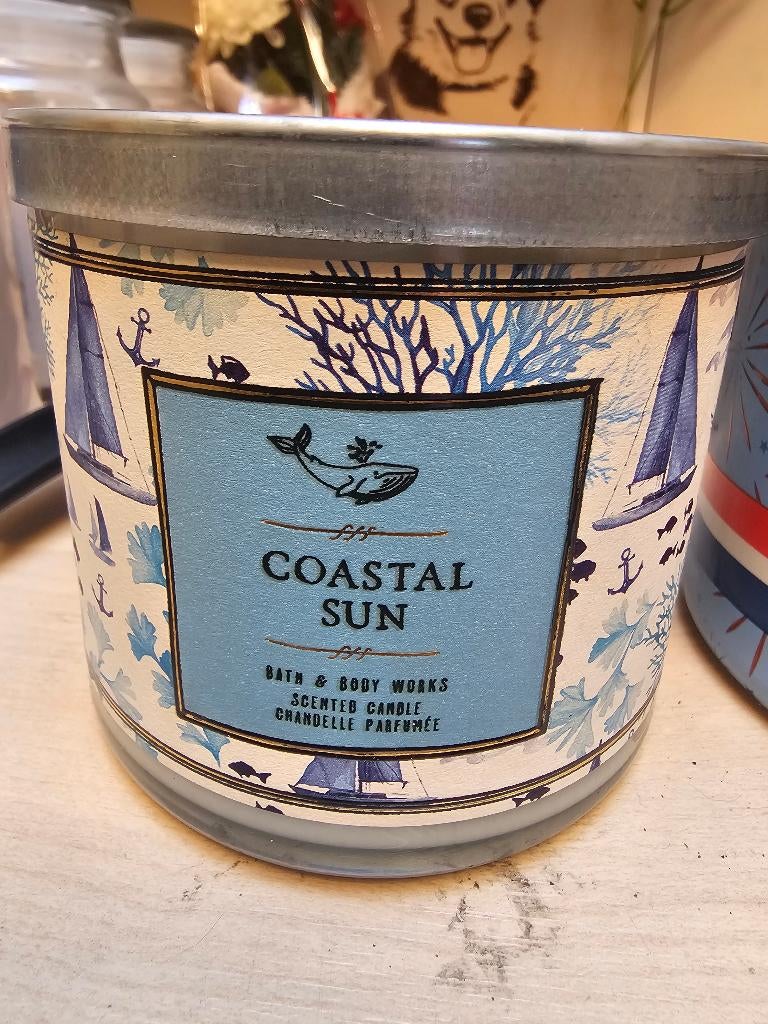 Geurkaarsen partij (8 ), Huis en Inrichting, Woonaccessoires | Kandelaars en Kaarsen, Overige materialen, Nieuw, Ophalen of Verzenden