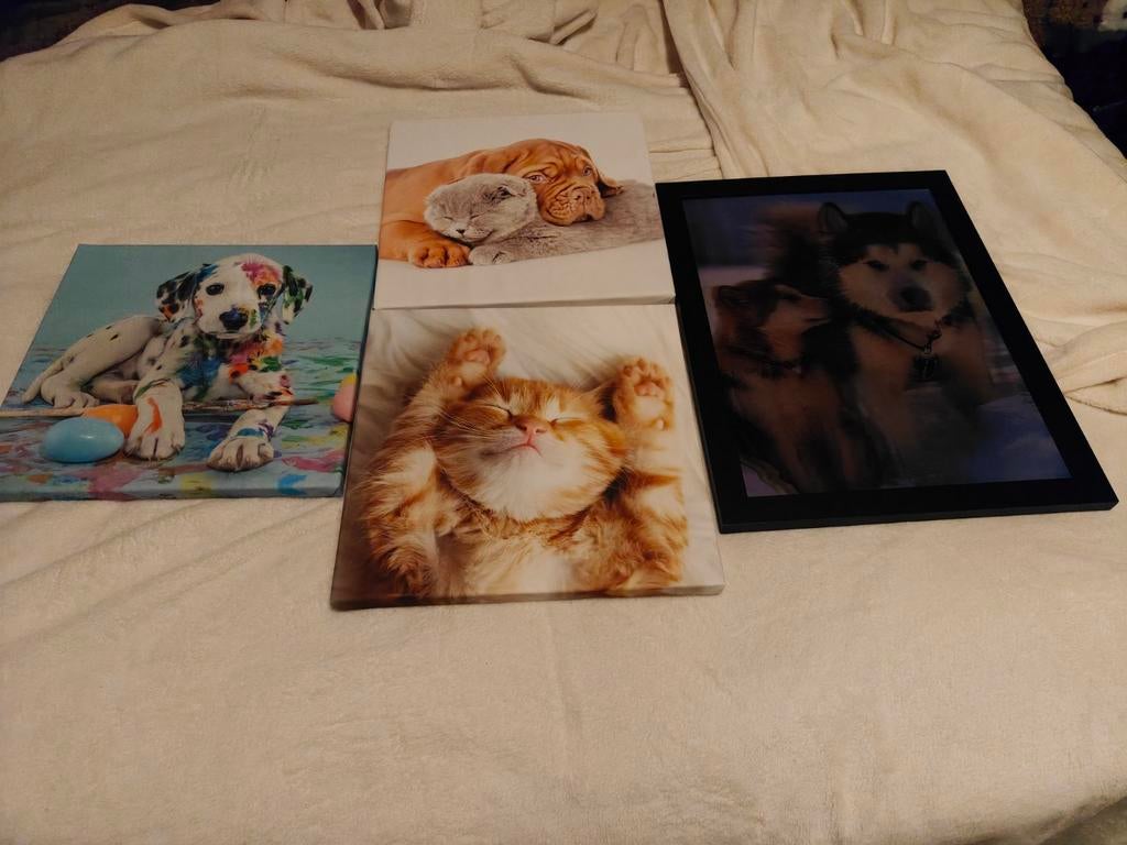 4 dieren schilderijen, Ophalen, Minder dan 50 cm, Zo goed als nieuw, Schilderij