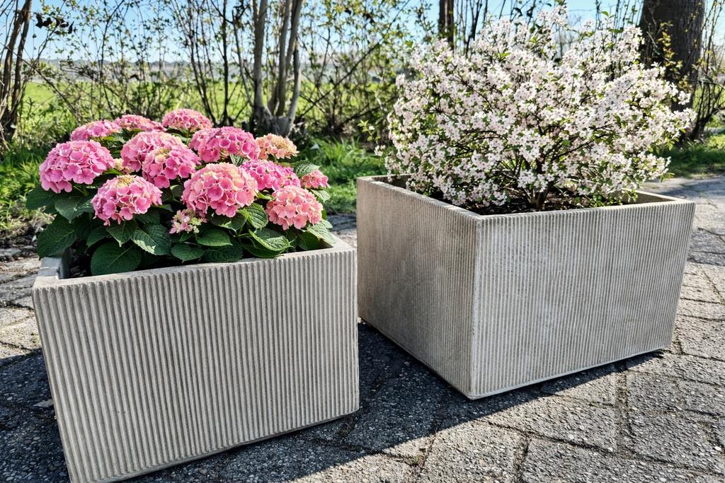 Grote Creme Bloembakken - geschikt voor bomen, Ophalen, Steen, Minder dan 60 cm, Vierkant