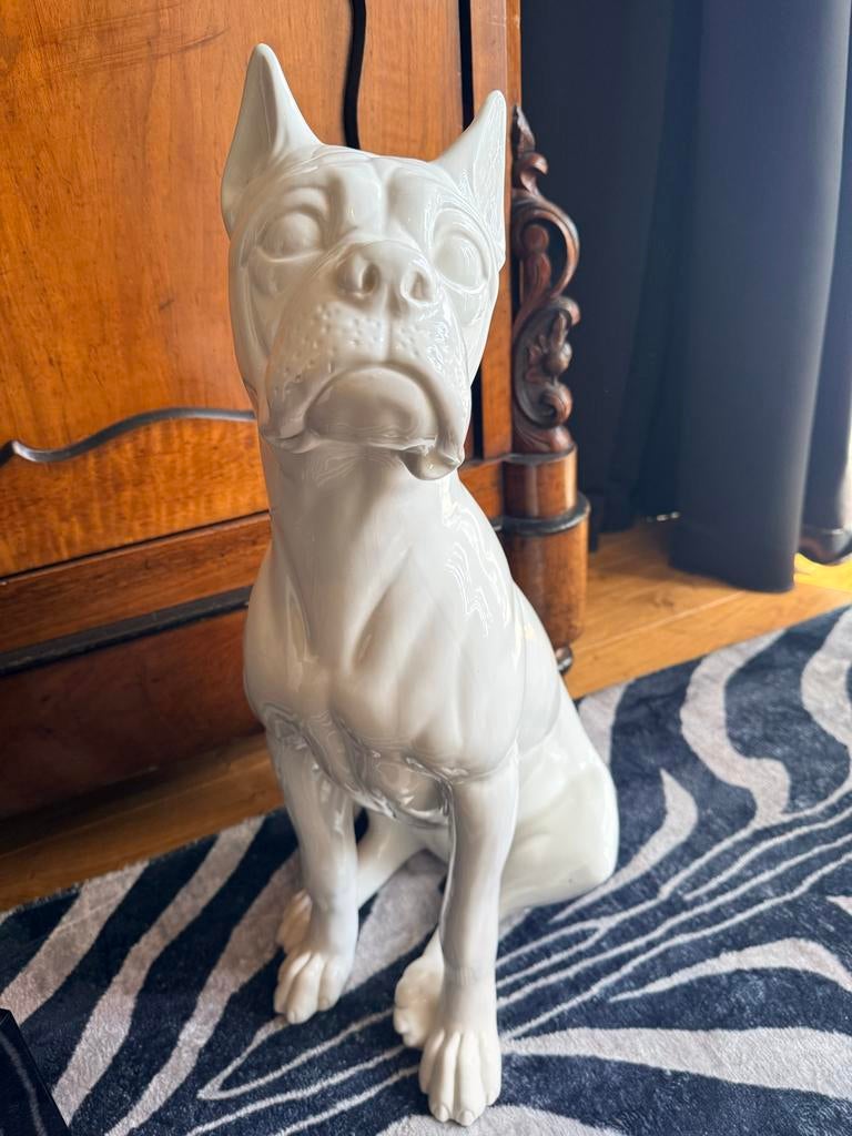 Bassano porseleinen boxer hond, Ophalen of Verzenden