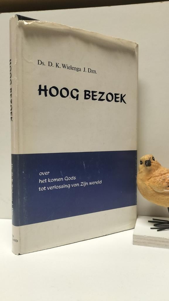 Wielenga J. Dzn., Ds. D.K.; Hoog Bezoek, Boeken, Godsdienst en Theologie, Ophalen of Verzenden, Gelezen, Christendom | Protestants