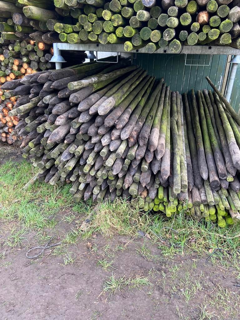 Boompalen 250cm, Ophalen, Zo goed als nieuw, 250 cm of meer, Palen