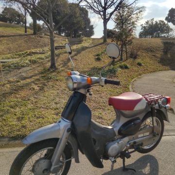 Honda Little Cub zadel c50 (ss50 benly dax monkey), Verzenden, Nieuw