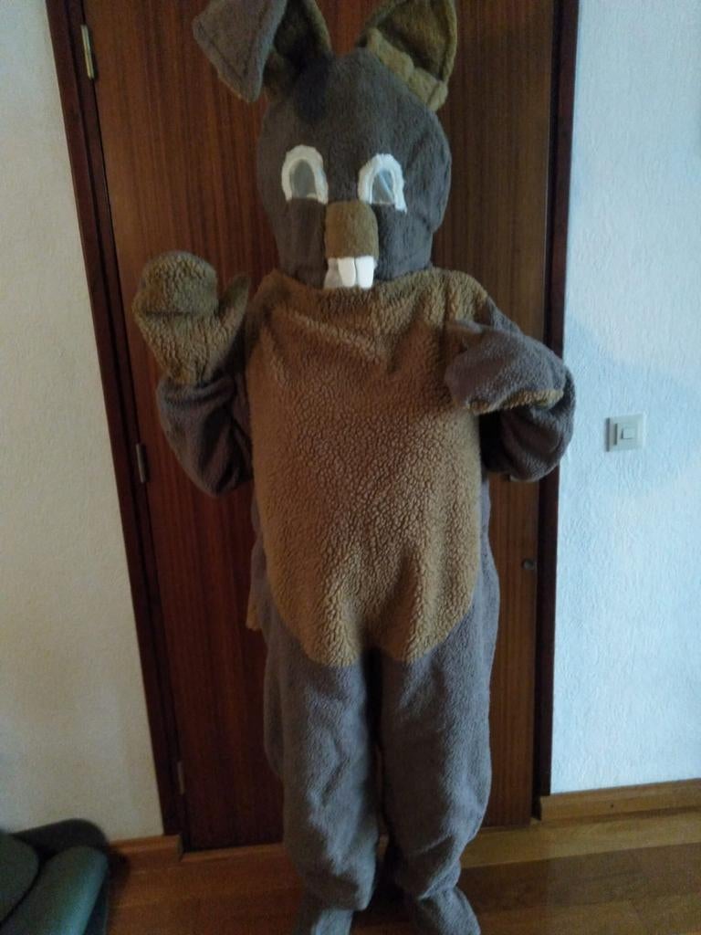 Paashaas kostuum, Ophalen, Maat 52/54 (L), Kleding, Gedragen