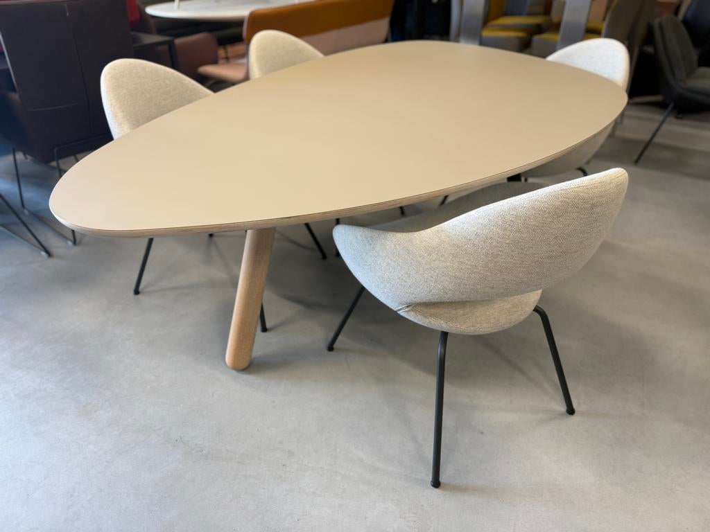 Showmodel Castelijn Circlips Eettafel grijs Design tafel 215, Castelijn, Overige vormen, Nieuw, 200 cm of meer