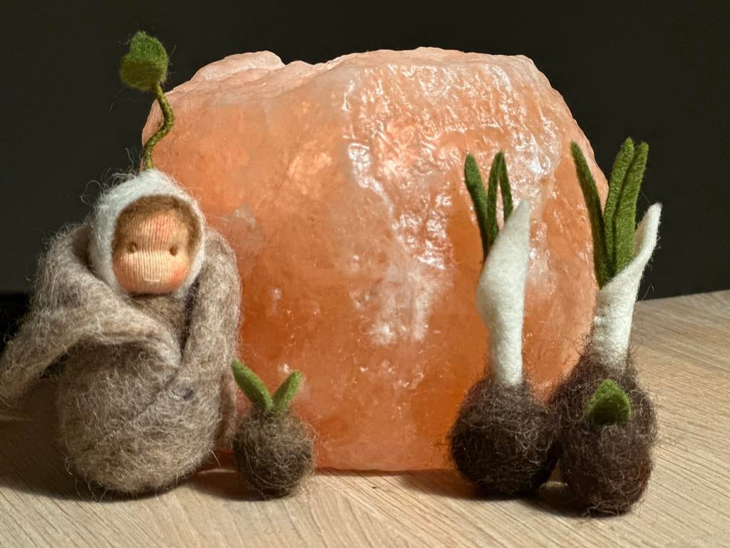 Wortelkindje met kiembolletjes antroposofische seizoentafel, Ophalen of Verzenden, Nieuw, Figuurtje(s), Wolvilt