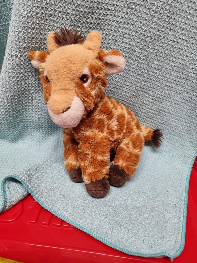 Blijdorp giraf knuffel nr 7, Ophalen of Verzenden, Overige typen