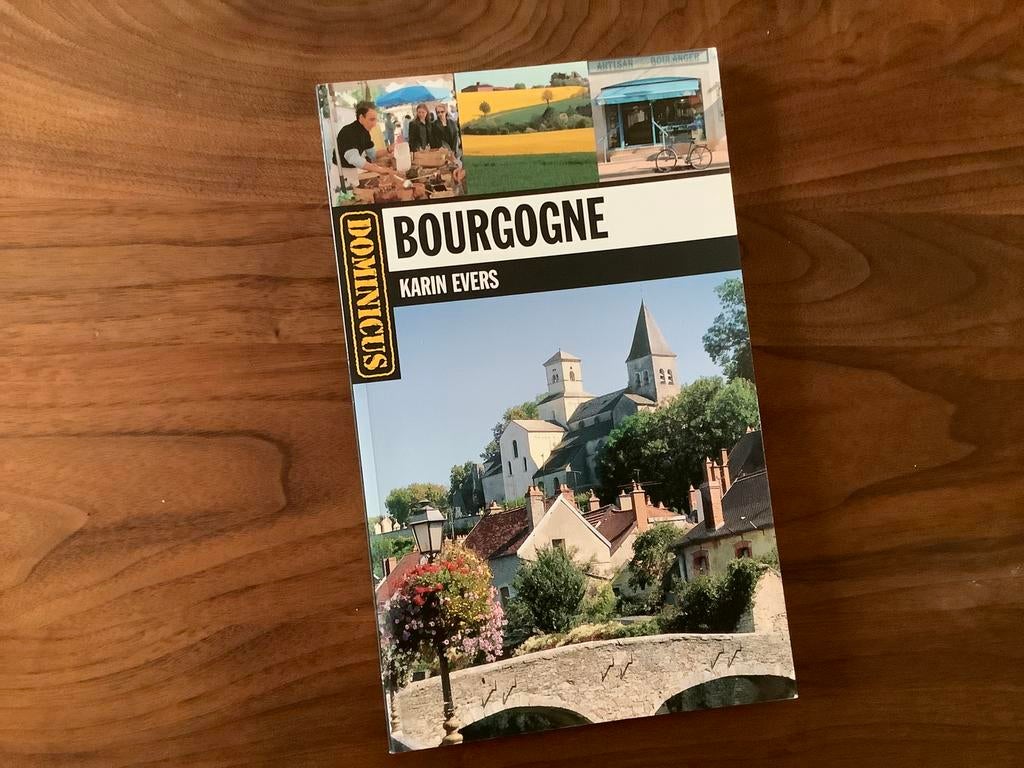 Bourgondie Frankrijk Bourgogne 240pg NL reisgids, Europa, Ophalen of Verzenden, Zo goed als nieuw, Reisgids of -boek