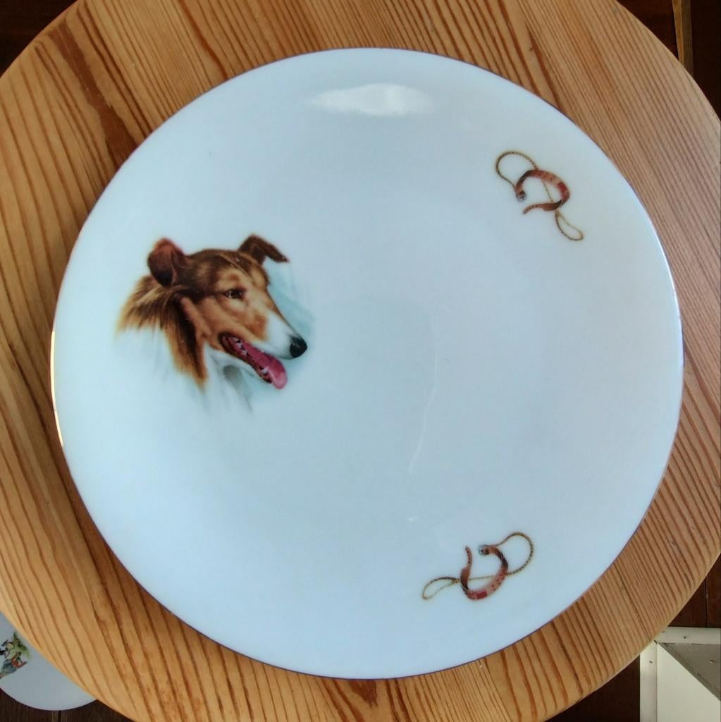 Bordje Lassie Collie hond. Rheinpflatz Hartporzellan., Ophalen of Verzenden, Zo goed als nieuw, Overige stijlen, Bord(en)