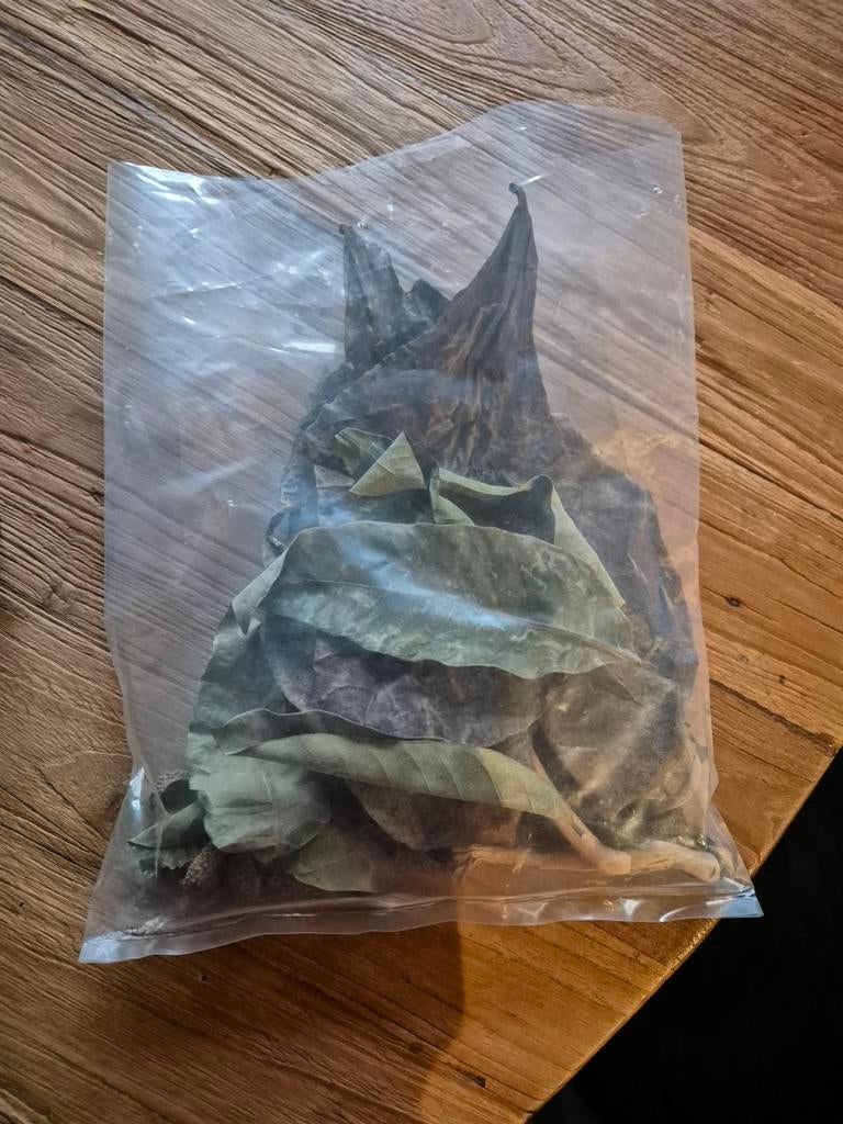 Bladeren/takken, Dieren en Toebehoren, Ophalen of Verzenden