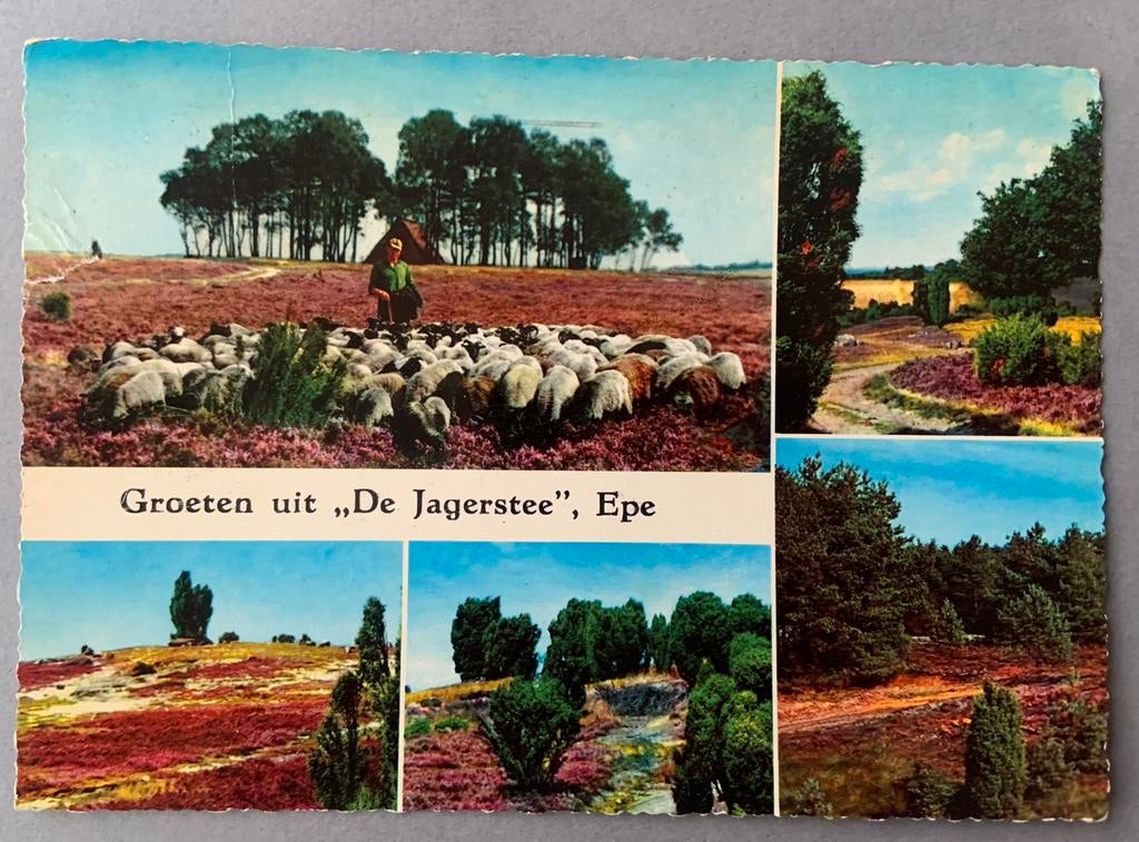 Groeten uit ,, De Jagerstee”, Epe, Ophalen of Verzenden, 1960 tot 1980, Gelderland