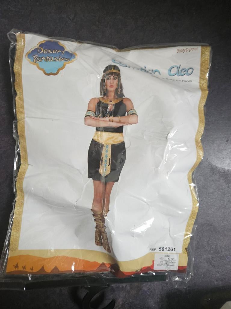 Verkleedkleding cleopatra Maat L, Ophalen of Verzenden, Zo goed als nieuw, Maat 38/40 (M), Carnaval