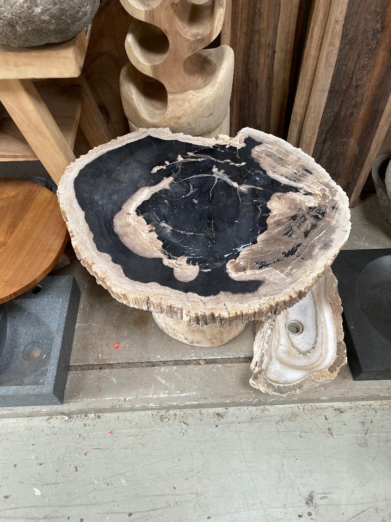 Fossiele schijven versteend hout petrified wood marmer onyx, Ophalen, Fossiel