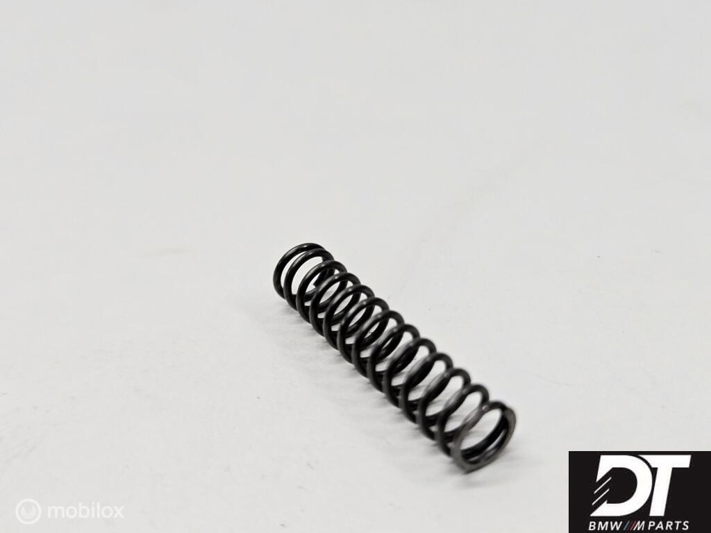 Vanos olie pomp veer BMW S54 S62 S50B32, Gebruikt, Ophalen of Verzenden