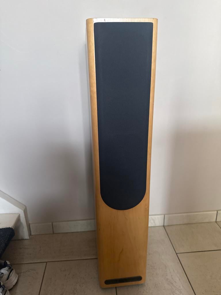 ASW Cantius IV Vloerstaande Luidsprekers - Zo goed als nieuw, Audio, Tv en Foto, Luidsprekers, Zo goed als nieuw, 120 watt of meer