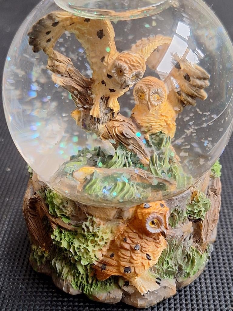 Sneeuwbol uil, Ophalen of Verzenden, Zo goed als nieuw, Dier